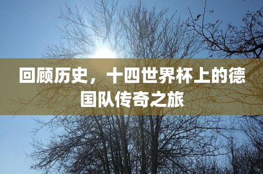 回顾历史，十四世界杯上的德国队传奇之旅
