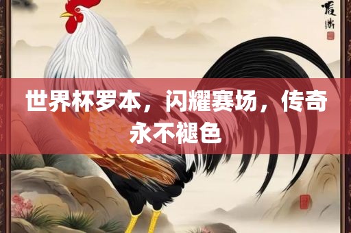 世界杯罗本，闪耀赛场，传奇永不褪色