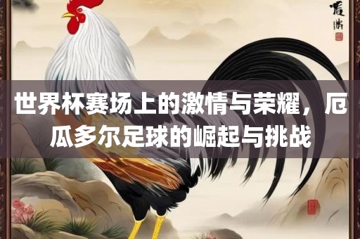 世界杯赛场上的激情与荣耀，厄瓜多尔足球的崛起与挑战