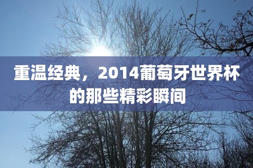 重温经典，2014葡萄牙世界杯的那些精彩瞬间