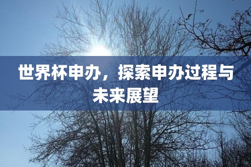 世界杯申办，探索申办过程与未来展望