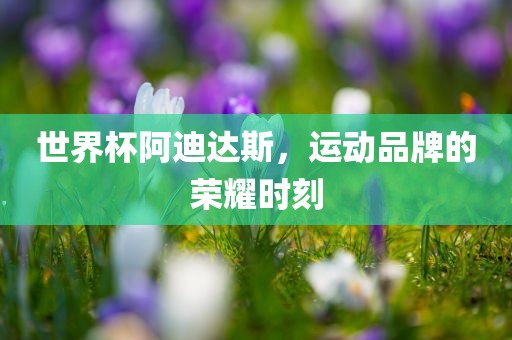 世界杯阿迪达斯，运动品牌的荣耀时刻