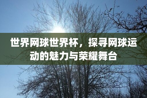 世界网球世界杯，探寻网球运动的魅力与荣耀舞台
