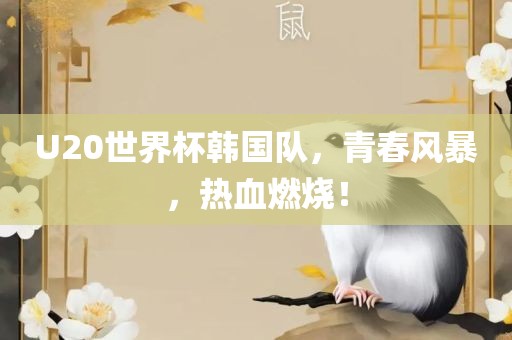 U20世界杯韩国队，青春风暴，热血燃烧！