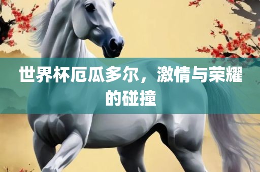 世界杯厄瓜多尔，激情与荣耀的碰撞