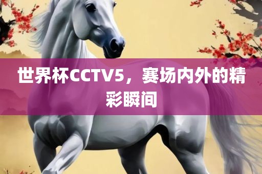 世界杯CCTV5，赛场内外的精彩瞬间