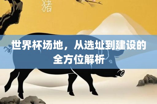 世界杯场地，从选址到建设的全方位解析
