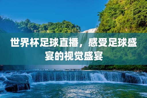 世界杯足球直播，感受足球盛宴的视觉盛宴