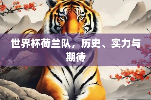 世界杯荷兰队，历史、实力与期待