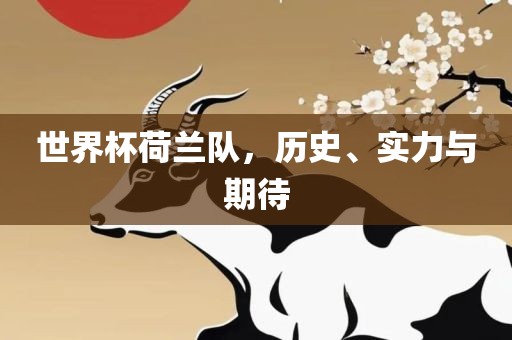 世界杯荷兰队，历史、实力与期待