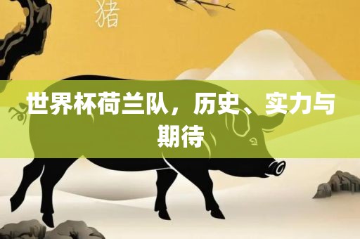 世界杯荷兰队，历史、实力与期待
