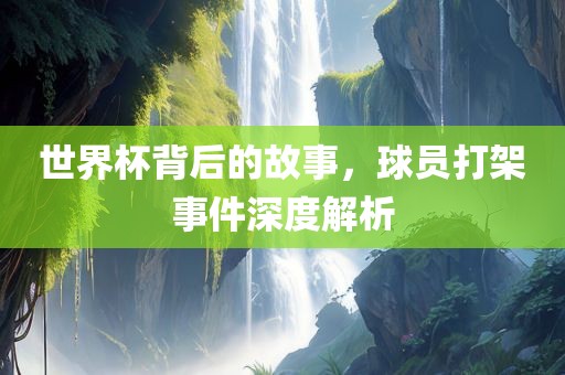 世界杯背后的故事，球员打架事件深度解析眉山市正发家政服务有限公司