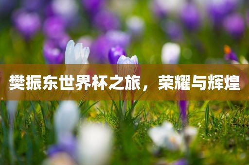 樊振东世界杯之旅，荣耀与辉煌