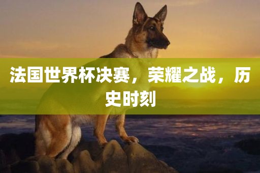 法国世界杯决赛眉山市正发家政服务有限公司，荣耀之战，历史时刻