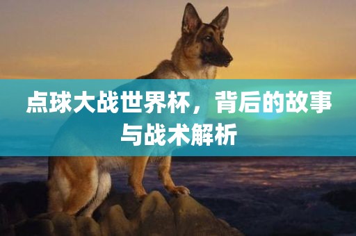 点球大战世界杯，背后的故事与战术解析