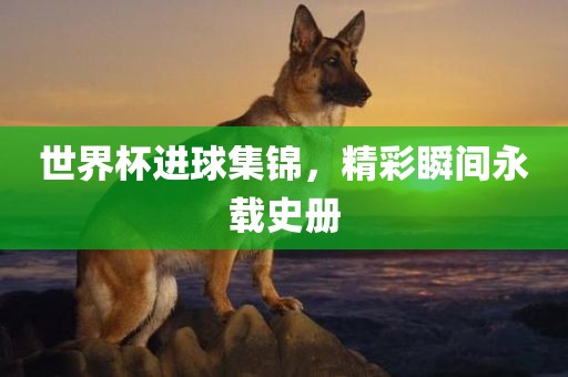 世界杯进球集锦，精彩瞬间永载史册眉山市正发家政服务有限公司