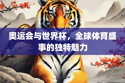 奥运会与世界杯，全球体育盛事的独特魅力