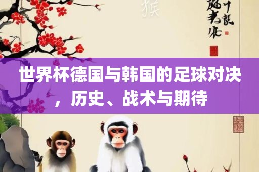世界杯德国与韩国的足球对决，历史、战术与期待