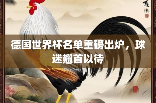 德国世界杯名单重磅出炉，球迷翘首以待