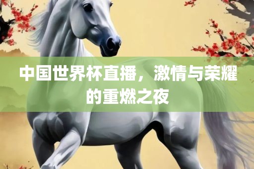 中国世界杯直播，激情与荣耀的重燃之夜眉山市正发家政服务有限公司