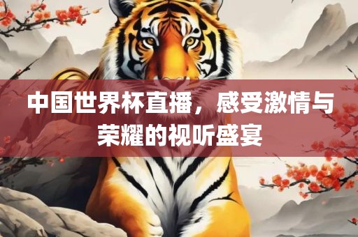 中国世界杯直播，感受激情与荣耀眉山市正发家政服务有限公司的视听盛宴