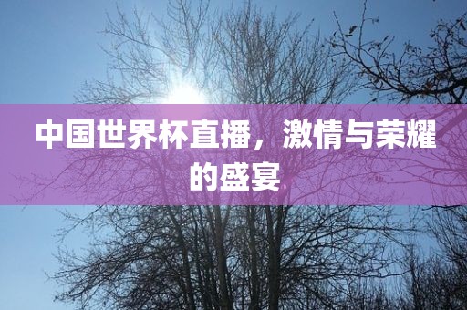 中国世界杯直播，激情与荣耀的盛宴眉山市正发家政服务有限公司