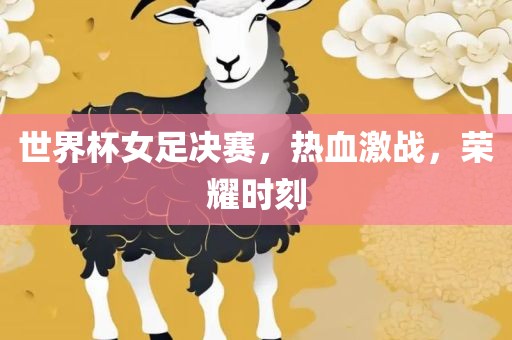 世界杯女足决赛，热血激战，荣耀时刻