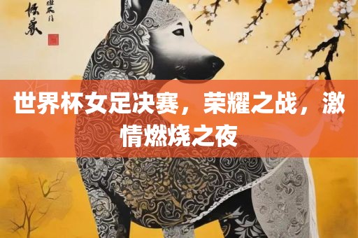 世界杯女足决赛，荣耀之战，激情燃烧之夜
