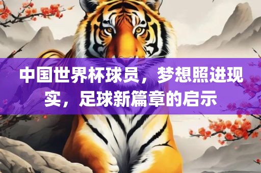 中国世界杯球员，梦想照进现实，足球新篇章的启示