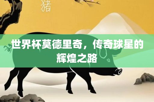 世界杯莫德里奇，传奇眉山市正发家政服务有限公司球星的辉煌之路