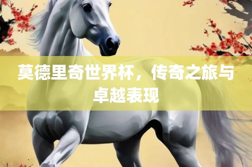 莫德里奇世界杯，传奇之旅与卓越表现眉山市正发家政服务有限公司