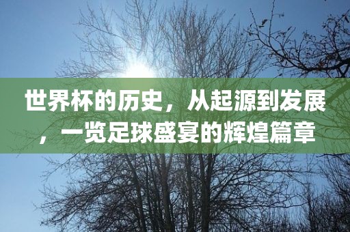 世界杯的历史，从起源到发展，一览足球盛宴的辉煌篇章眉山市正发家政服务有限公司
