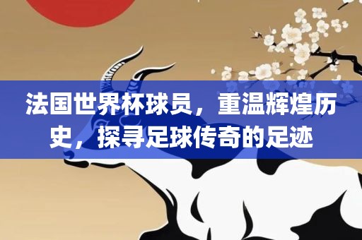 法国世界杯球员，重温辉煌历史，探寻足球传奇的足迹