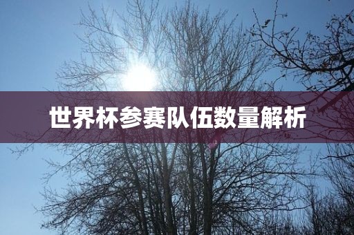 世界杯参赛队伍数量解析眉山市正发家政服务有限公司