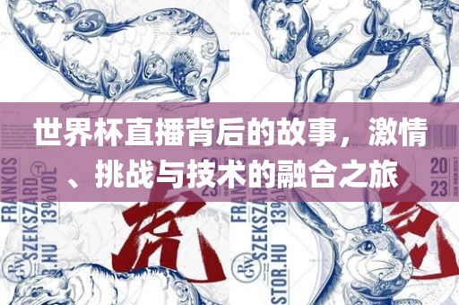 世界杯直播背后的故事，激情、挑战与技术的融合之旅眉山市正发家政服务有限公司