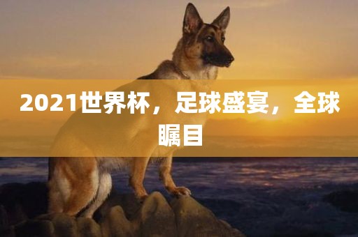 2021世界杯，足球盛宴，全球瞩目眉山市正发家政服务有限公司