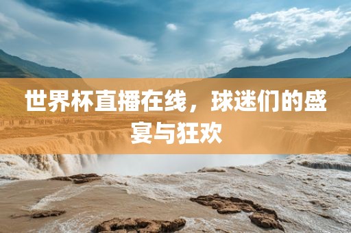 世界杯直播在线，球迷们的盛宴与狂欢眉山市正发家政服务有限公司