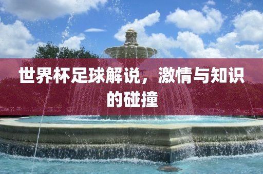 世界杯足球解说，激情与知识的碰撞