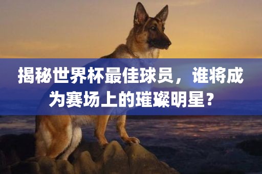 揭秘世界杯最佳球员，谁将成为赛场上的璀璨明星？