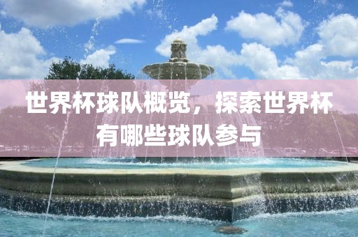 世界杯球队概览，探索世界杯有哪些球队参与