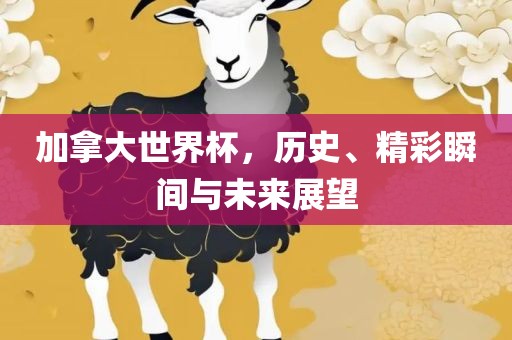 加拿大世界杯，历史、精彩瞬间与未来展望眉山市正发家政服务有限公司