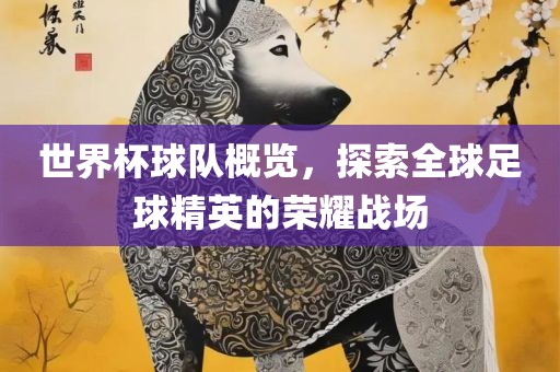 世界杯球队概览，探索全球足球精英的荣耀战场