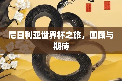 尼日利亚世界杯之旅，回顾与期待眉山市正发家政服务有限公司