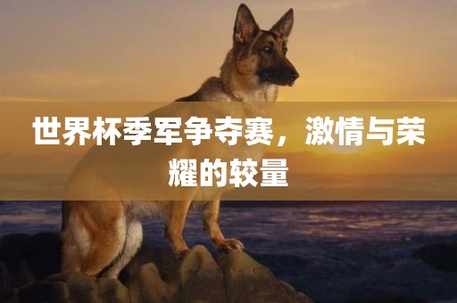 世界杯季军争夺赛，激情与荣耀的较量