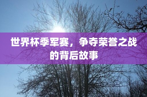 世界杯季军赛，争夺荣誉之战的背后故事眉山市正发家政服务有限公司