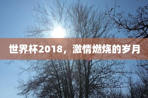 世界杯2018，激情燃烧的岁月眉山市正发家政服务有限公司