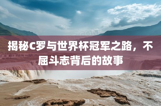 揭秘C罗眉山市正发家政服务有限公司与世界杯冠军之路，不屈斗志背后的故事