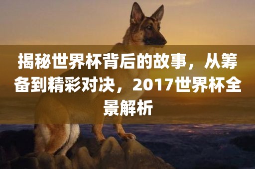 揭秘世界杯背后的故事，从筹备到精彩对决，2017世界杯全景解析