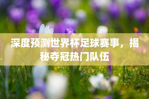 深度预测世界杯足球赛事，揭秘夺冠热门队伍