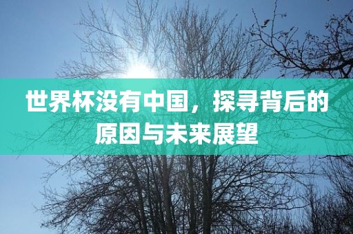 世界杯没有中国，探寻背后的原因与未来展望